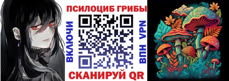 Псилоцибиновые грибы прущие грибы даркнет сайт гидра tor Мирный